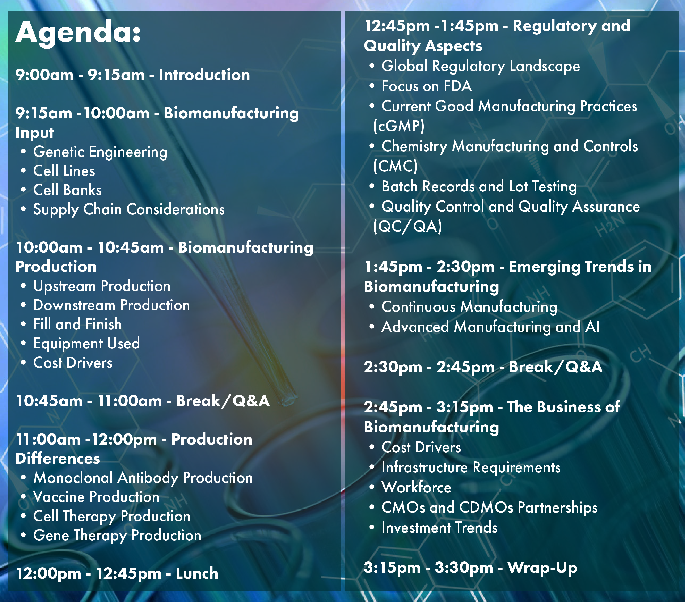 BMI Agenda-01
